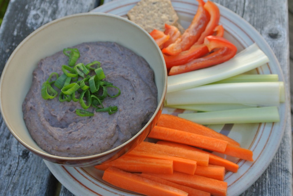 Easy Black Bean Dip (glutenfree, dairyfree, vegan)